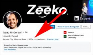 Buy LinkedIn Accounts